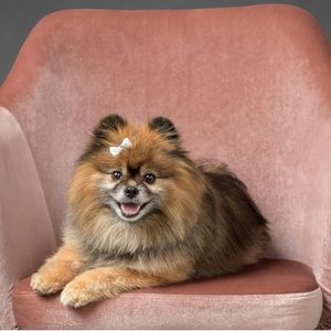 Meet your Posher, Lorin